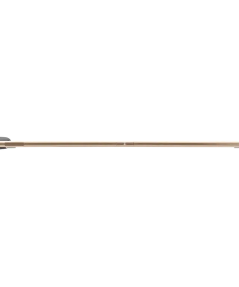 الترجمة الفورية